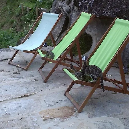 Quinta Da Mo Bioturismo * Cinfães